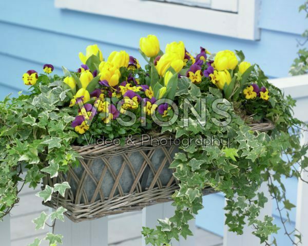 Spring container