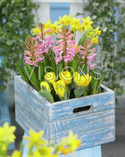 Spring container