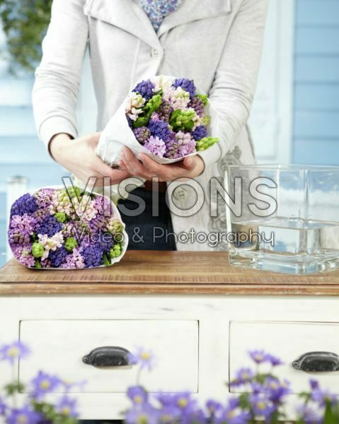 Arranging hyacinths Arranging hyacinths