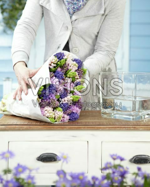 Arranging hyacinths Arranging hyacinths