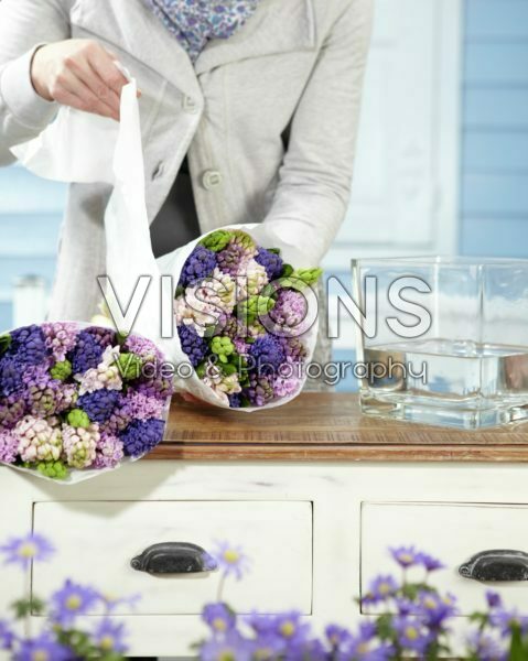Arranging hyacinths Arranging hyacinths