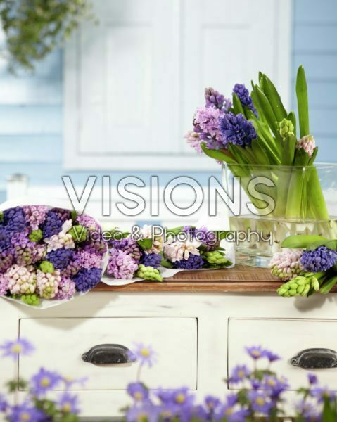 Hyacinths in vase Hyacinths in vase