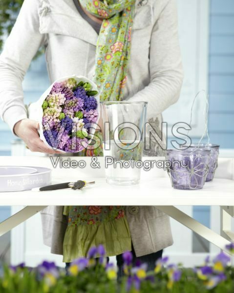 Arranging hyacinths Arranging hyacinths