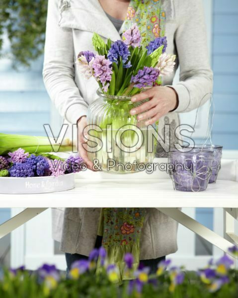Arranging hyacinths