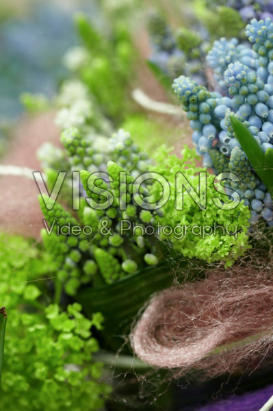 Muscari arrangement Muscari arrangement