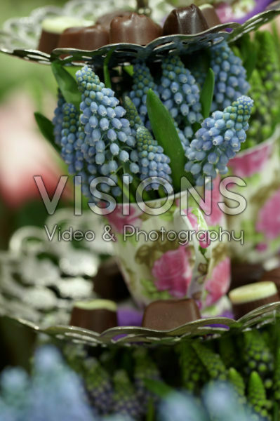 Muscari arrangement
