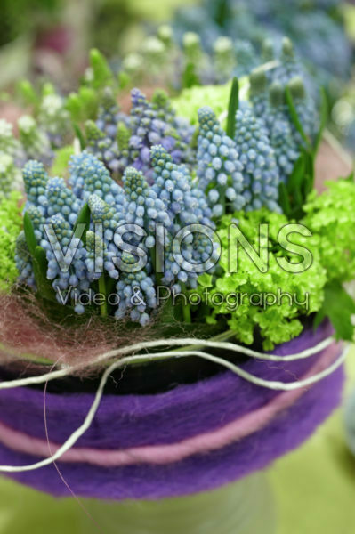 Muscari arrangement Muscari arrangement