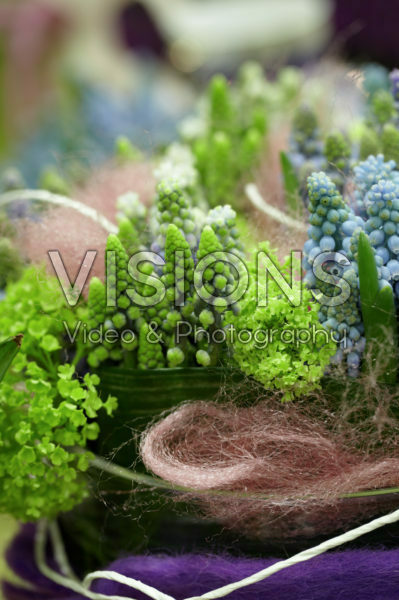 Muscari arrangement