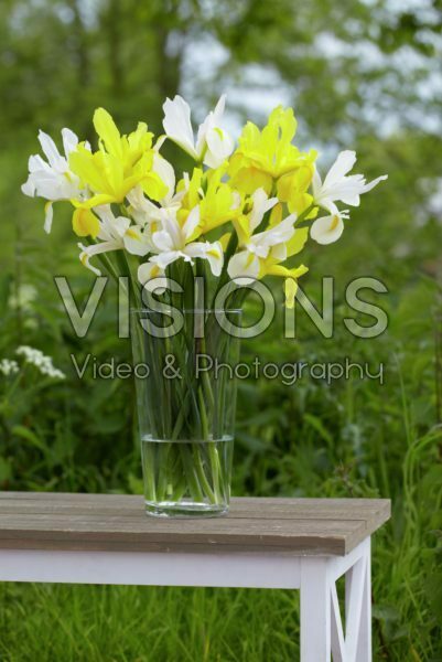 Iris bouquet Iris bouquet