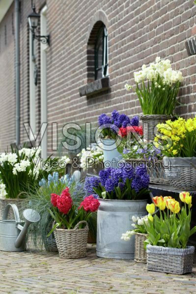 Spring containers