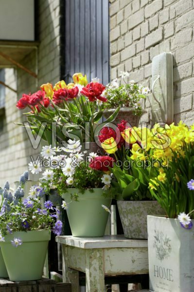 Spring containers